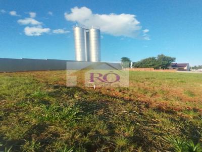 Terreno para Venda, em Santa Cruz do Sul, bairro Jo�o Alves
